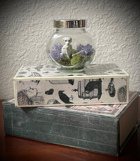 Spooky Scary Skelli Dog Display Jar
