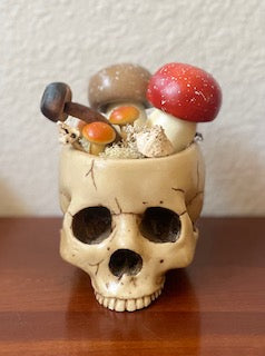 Cracked Skull Mushroom Planter