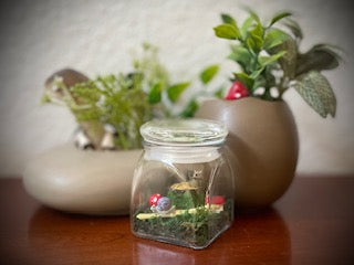 Snails and Bones Display Jar
