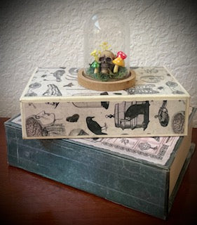 Skullshrooms Display Jar