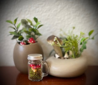 Micro Terrarium Mushroom Mushroom Display Jar